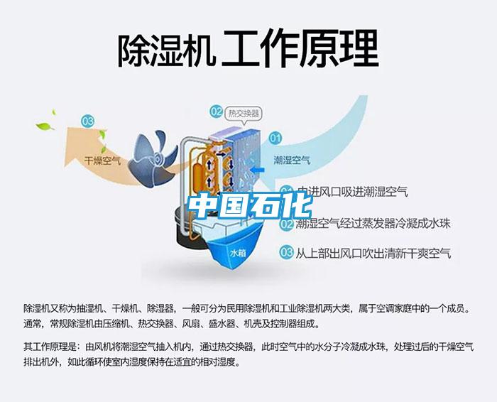 中国石化