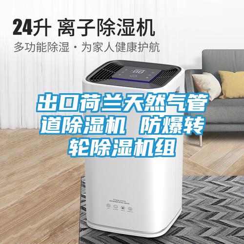 出口荷兰天然气管道除湿机 防爆转轮除湿机组