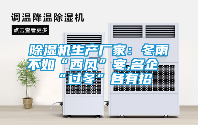 除湿机生产厂家：冬雨不如“西风”寒,名企“过冬”各有招