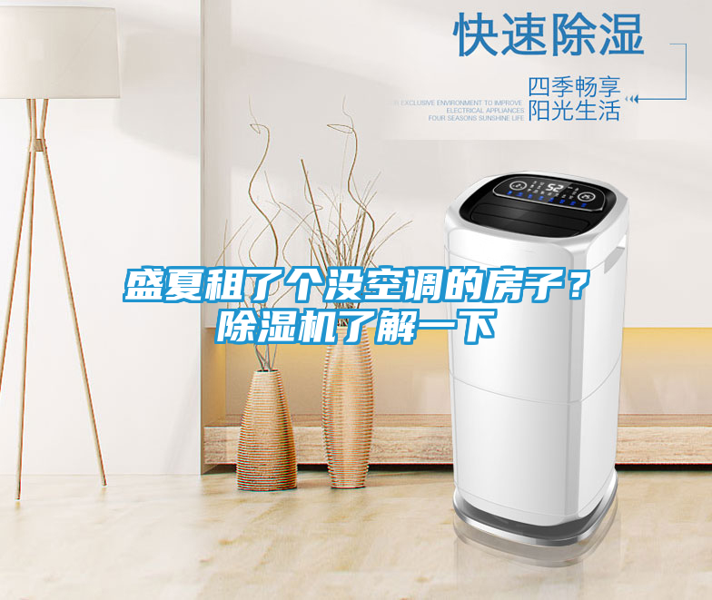 盛夏租了个没空调的房子？除湿机了解一下