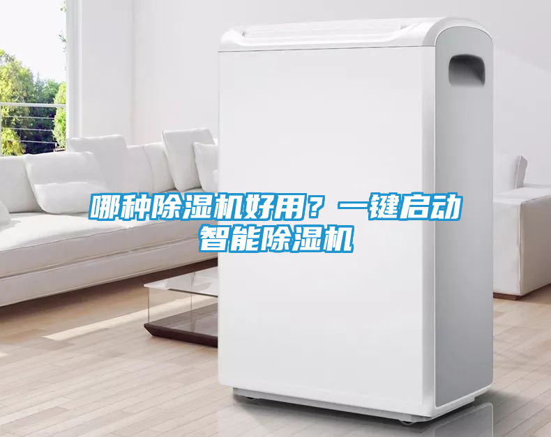 哪种除湿机好用？一键启动智能除湿机