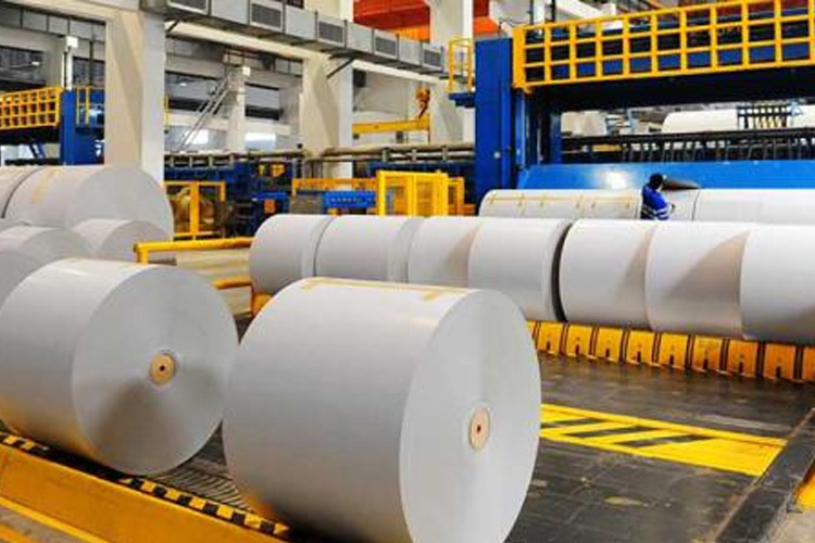 1530155370647669.jpg 纸厂.jpg