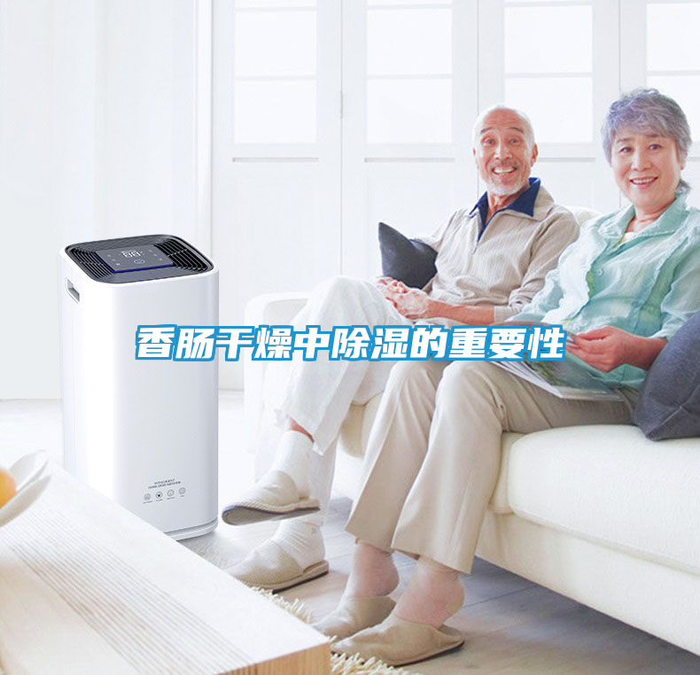 香肠干燥中除湿的重要性