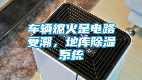 车辆熄火是电路受潮，地库除湿系统