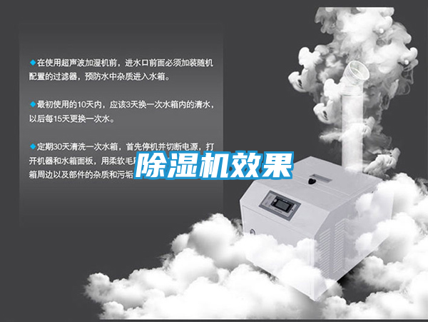 除湿机效果