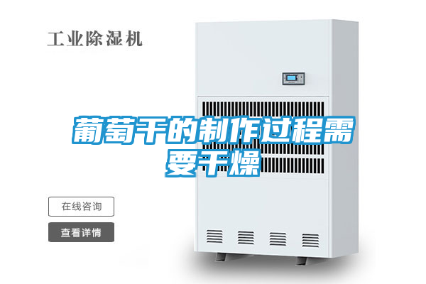 葡萄干的制作过程需要干燥