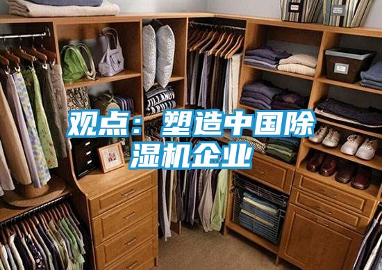 观点：塑造中国除湿机企业