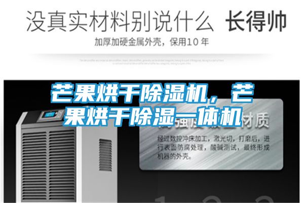 芒果烘干除湿机,芒果烘干除湿一体机