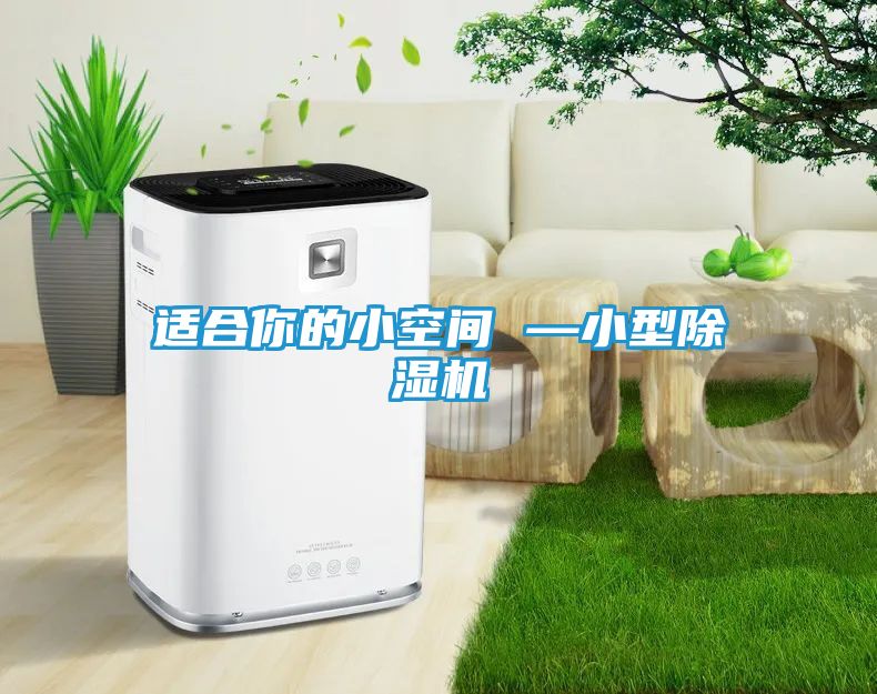 适合你的小空间 —小型除湿机