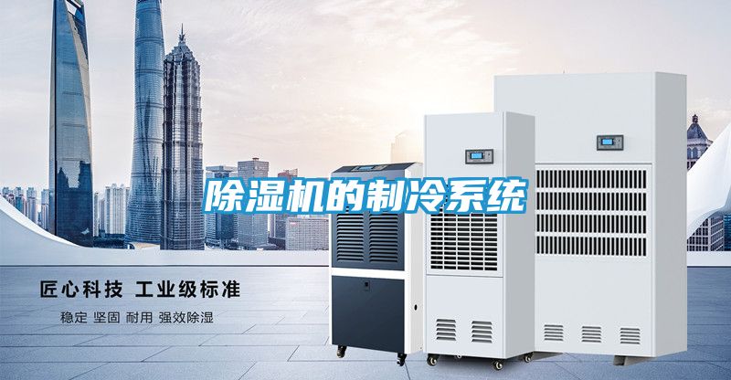 除湿机的制冷系统