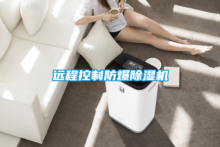 远程控制防爆除湿机