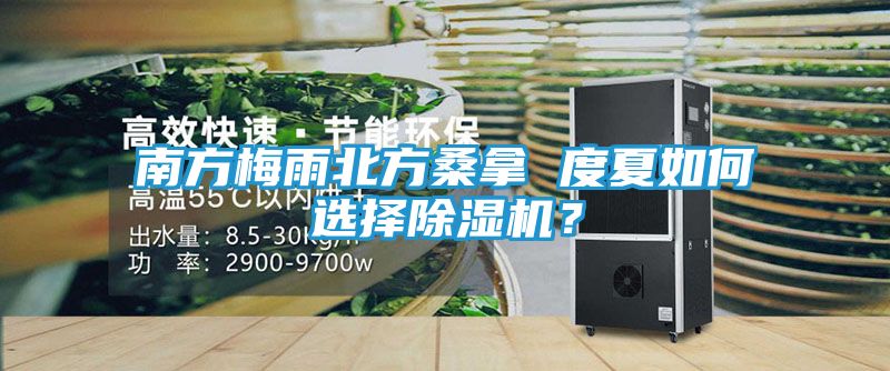 南方梅雨北方桑拿 度夏如何选择除湿机？