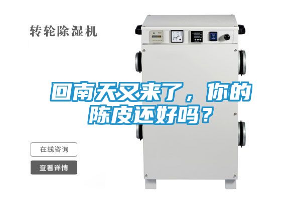 回南天又来了，你的陈皮还好吗？