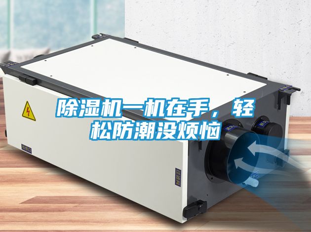 除湿机一机在手，轻松防潮没烦恼
