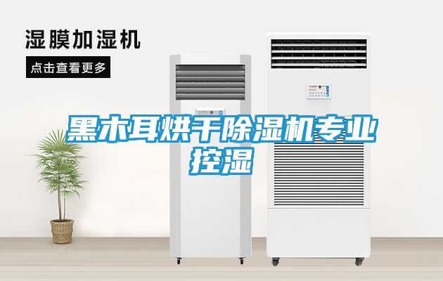 黑木耳烘干除湿机专业控湿