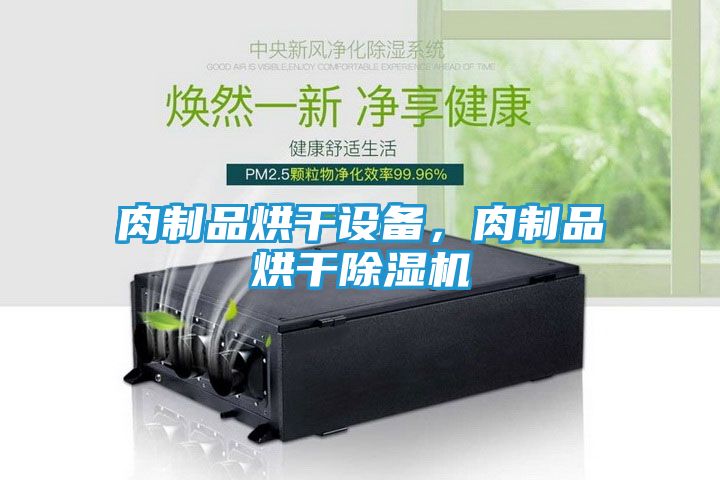 肉制品烘干设备，肉制品烘干除湿机