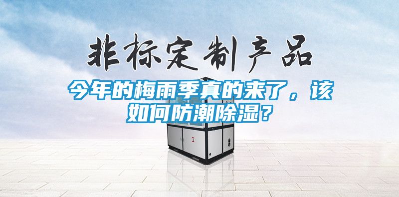 今年的梅雨季真的来了，该如何防潮除湿？