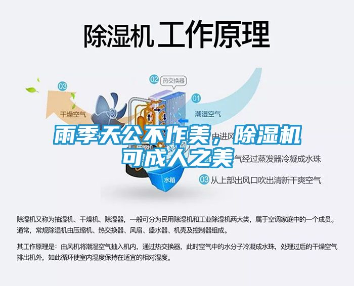 雨季天公不作美，除湿机可成人之美