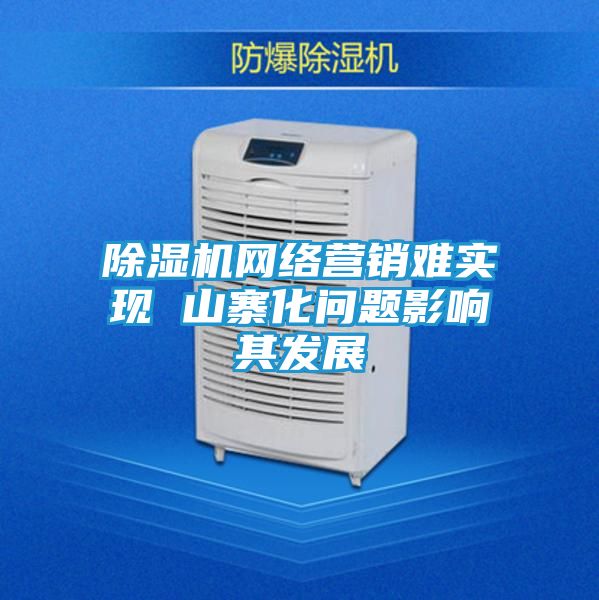 除湿机网络营销难实现 山寨化问题影响其发展