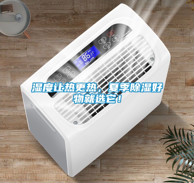 湿度让热更热，夏季除湿好物就选它！