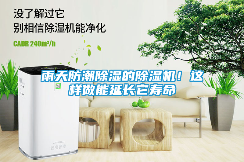 雨天防潮除湿的除湿机！这样做能延长它寿命