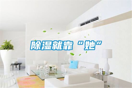 除湿就靠“她”