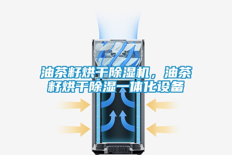油茶籽烘干除湿机,油茶籽烘干除湿一体化设备