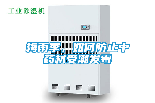 梅雨季，如何防止中药材受潮发霉