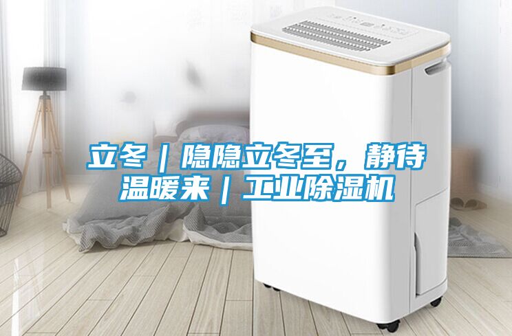 立冬｜隐隐立冬至，静待温暖来｜工业除湿机