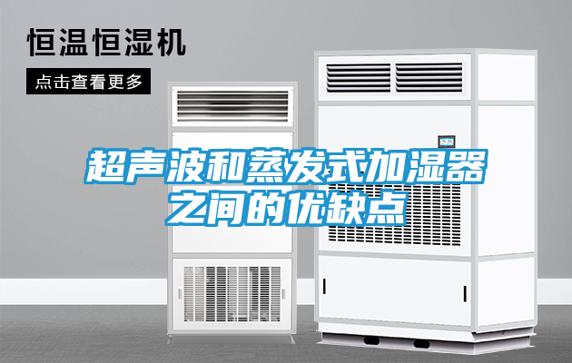 超声波和蒸发式加湿器之间的优缺点