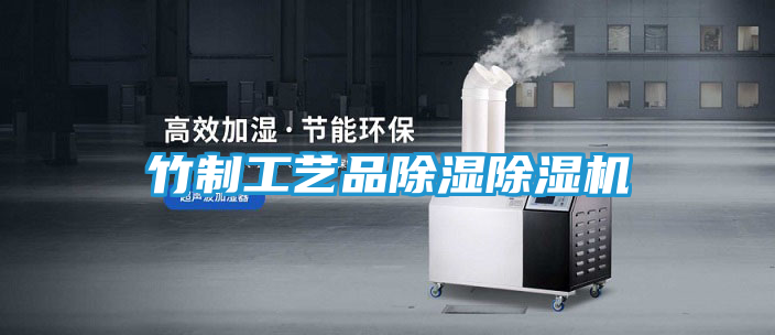 竹制工艺品除湿除湿机