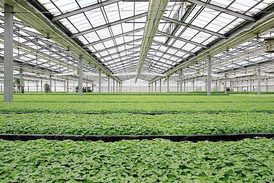 除湿器如何解决高湿度、多种危害的温室除湿问题?