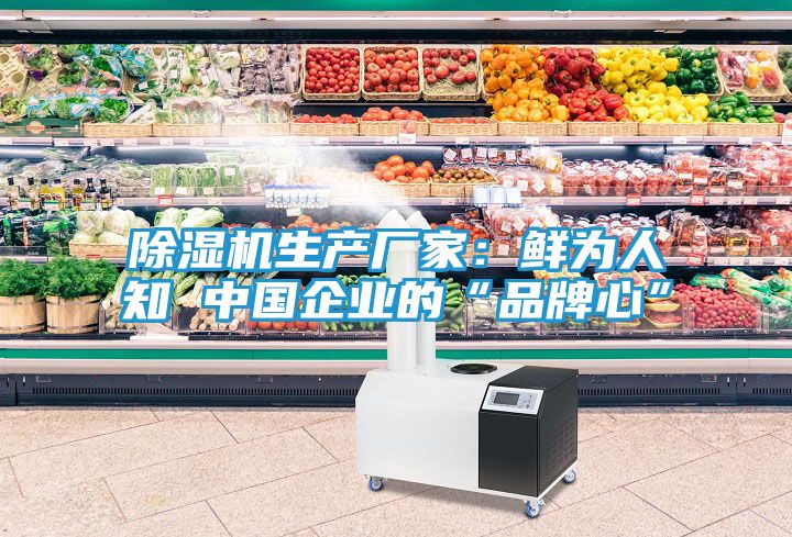 除湿机生产厂家：鲜为人知 中国企业的“品牌心”