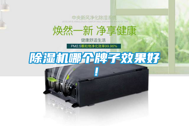 除湿机哪个牌子效果好！