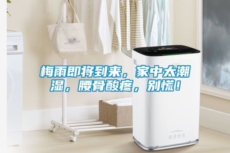梅雨即将到来，家中太潮湿，腰骨酸疼，别慌！