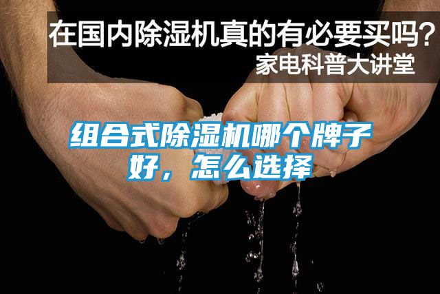 组合式除湿机哪个牌子好，怎么选择