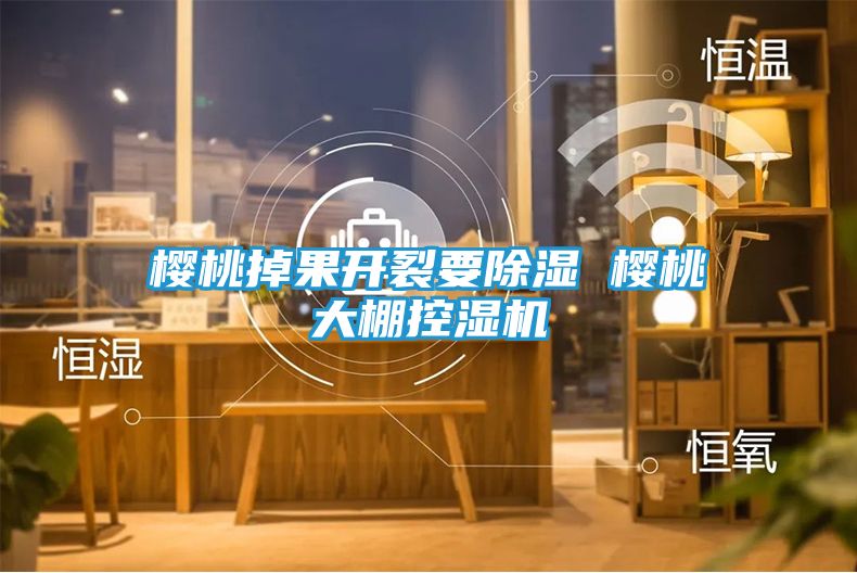 樱桃掉果开裂要除湿 樱桃大棚控湿机