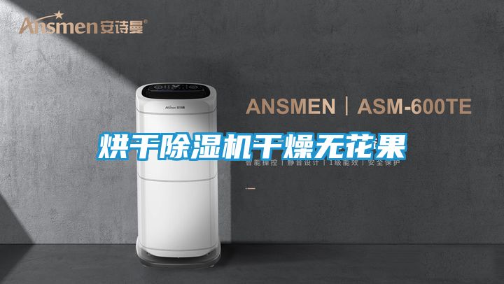 烘干除湿机干燥无花果