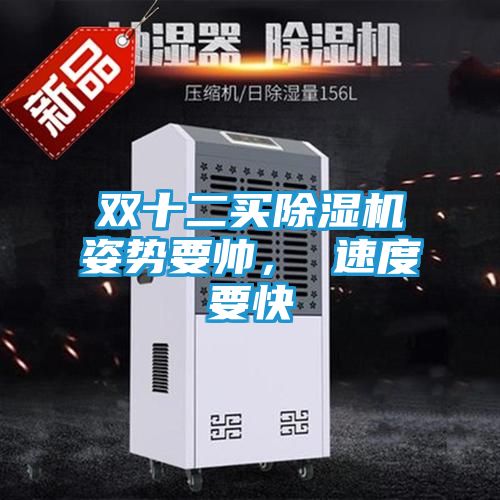 双十二买除湿机姿势要帅, 速度要快