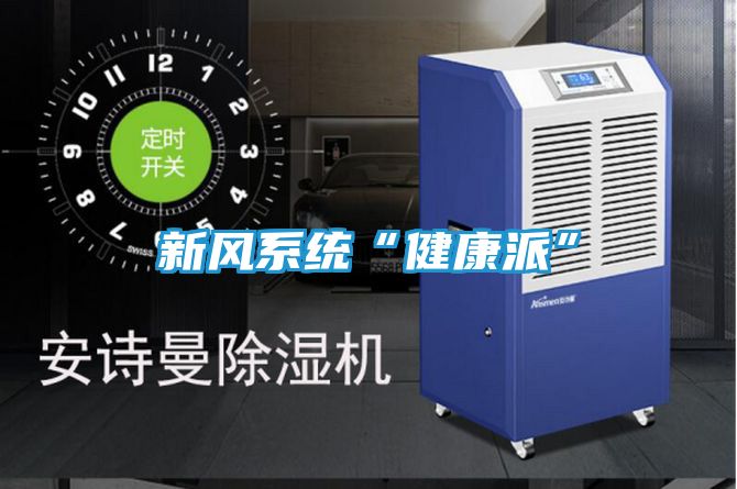 新风系统“健康派”