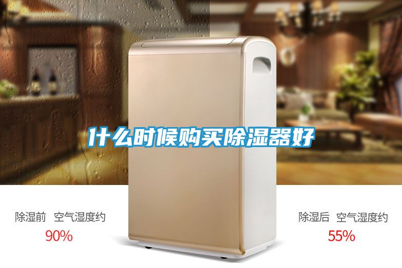 什么时候购买除湿器好