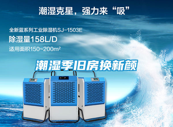 潮湿季旧房换新颜