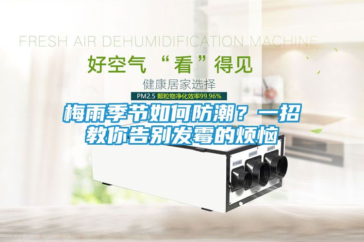 梅雨季节如何防潮？一招教你告别发霉的烦恼
