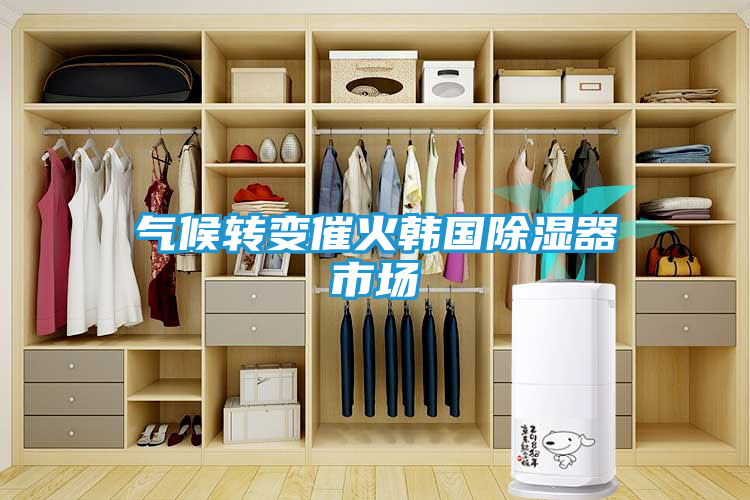 气候转变催火韩国除湿器市场