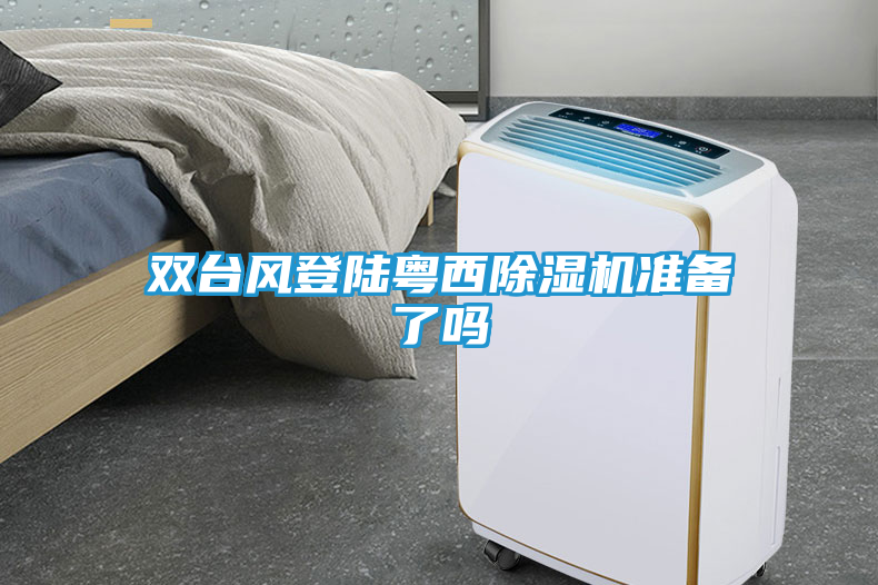 双台风登陆粤西除湿机准备了吗
