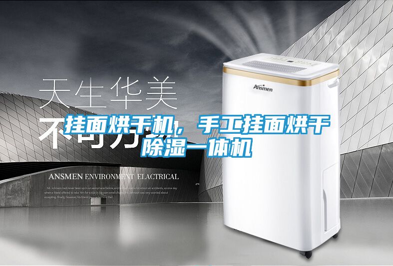 挂面烘干机，手工挂面烘干除湿一体机