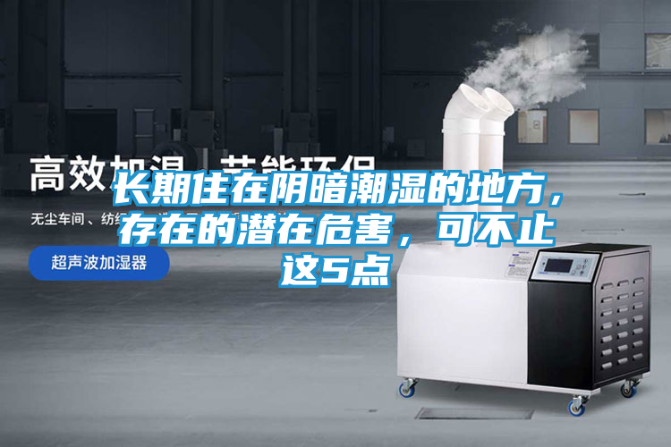 长期住在阴暗潮湿的地方，存在的潜在危害，可不止这5点
