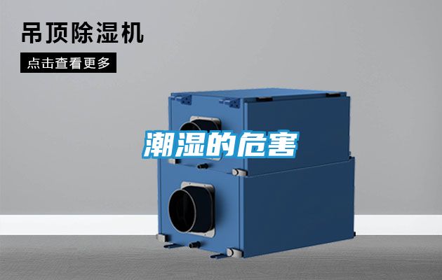潮湿的危害