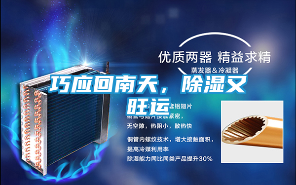 巧应回南天，除湿又旺运