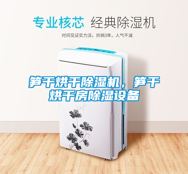笋干烘干除湿机，笋干烘干房除湿设备